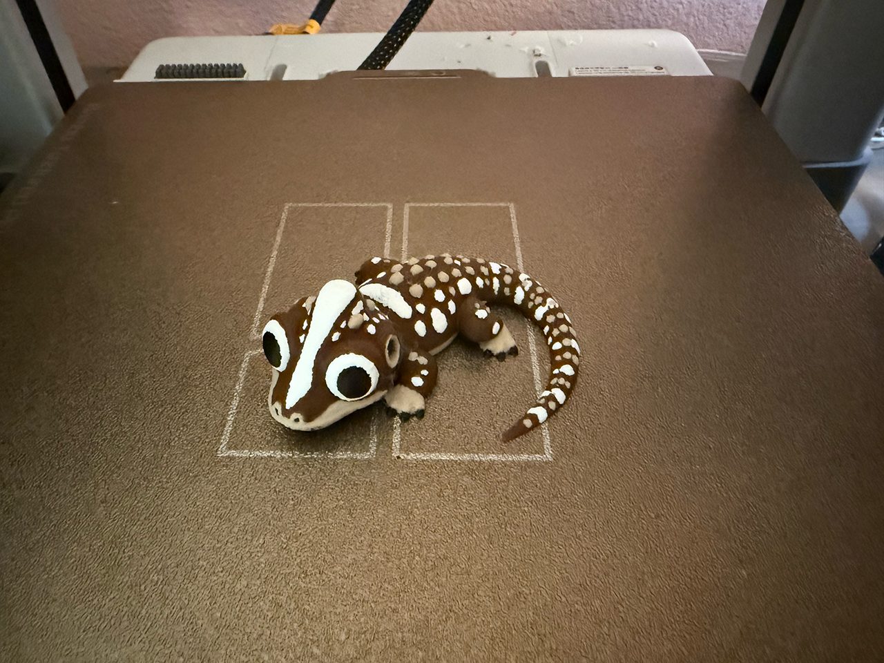 A four-colour printed ackie monitor